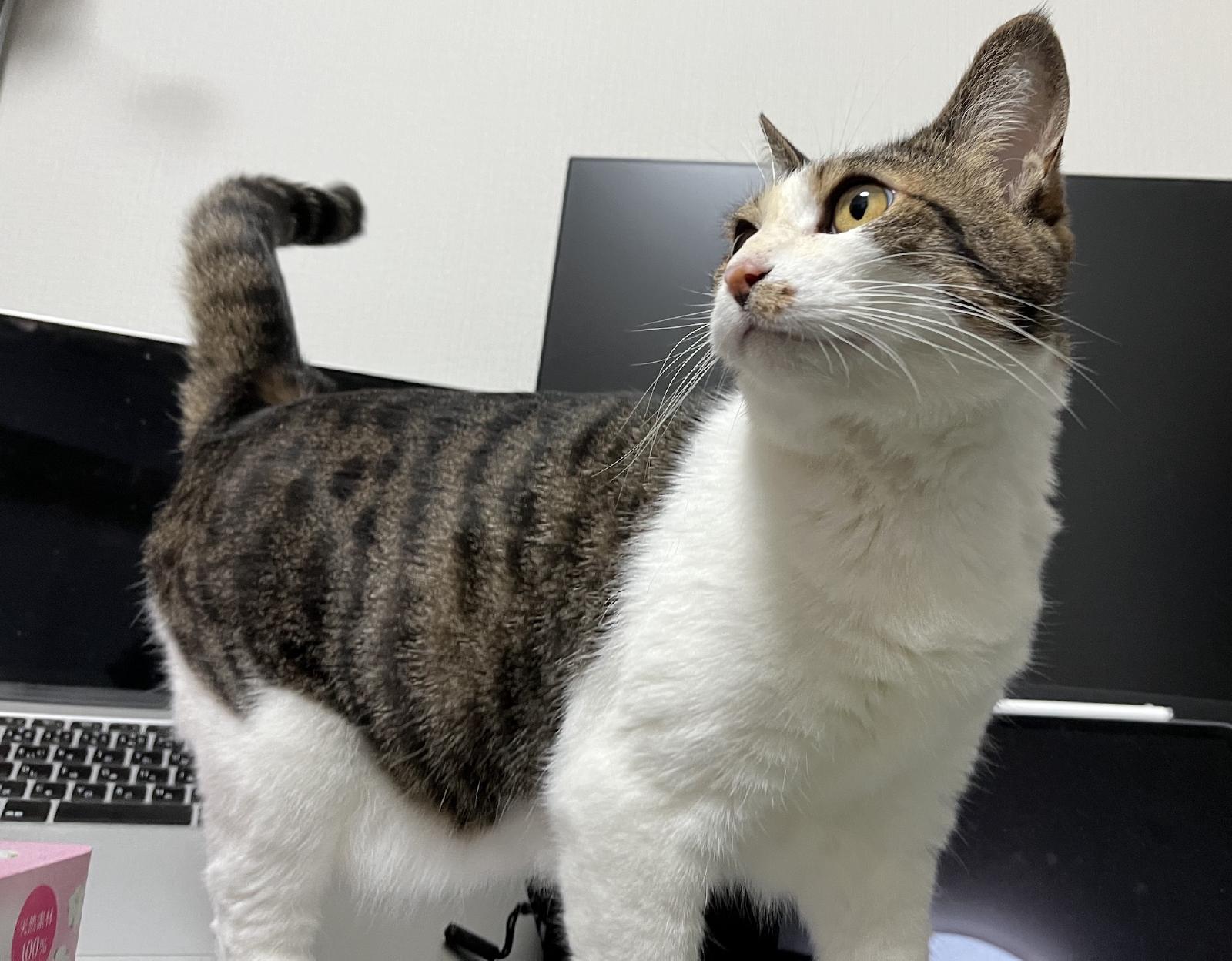 Convert a multi line string into a single line string leaving newline