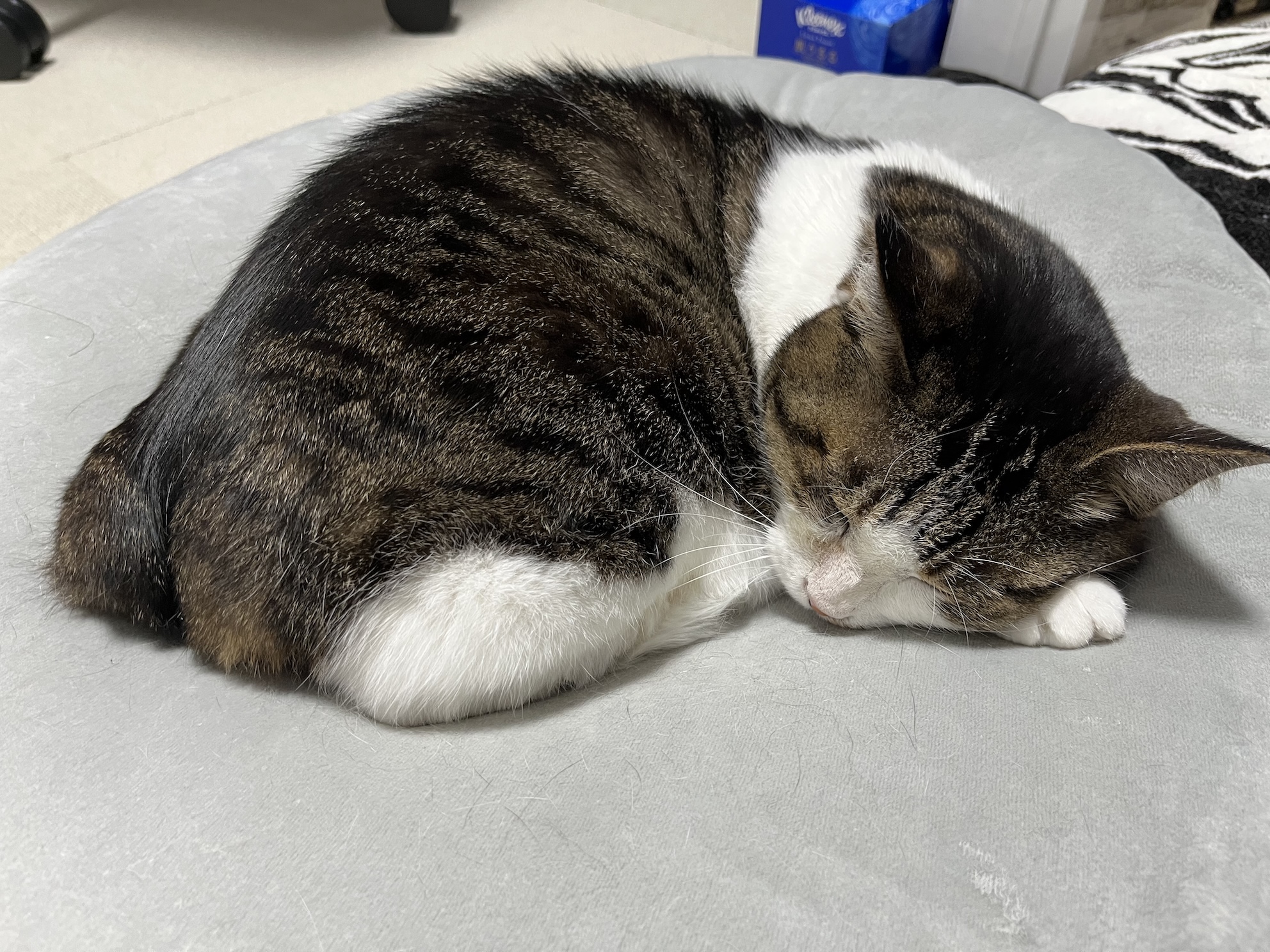鼻水ずるずる