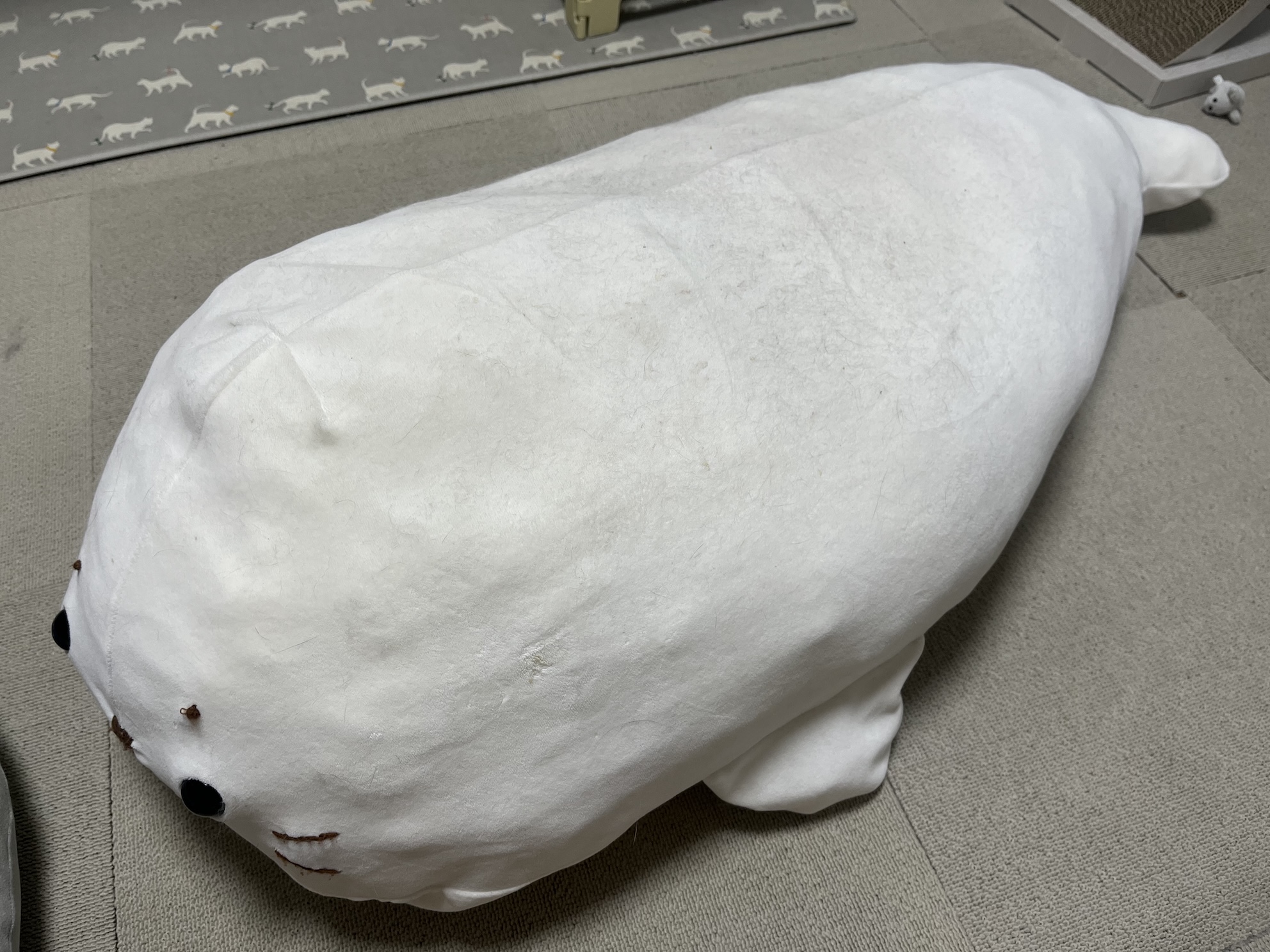 復活 外のカバーは洗うと不機嫌になるのでそのまま