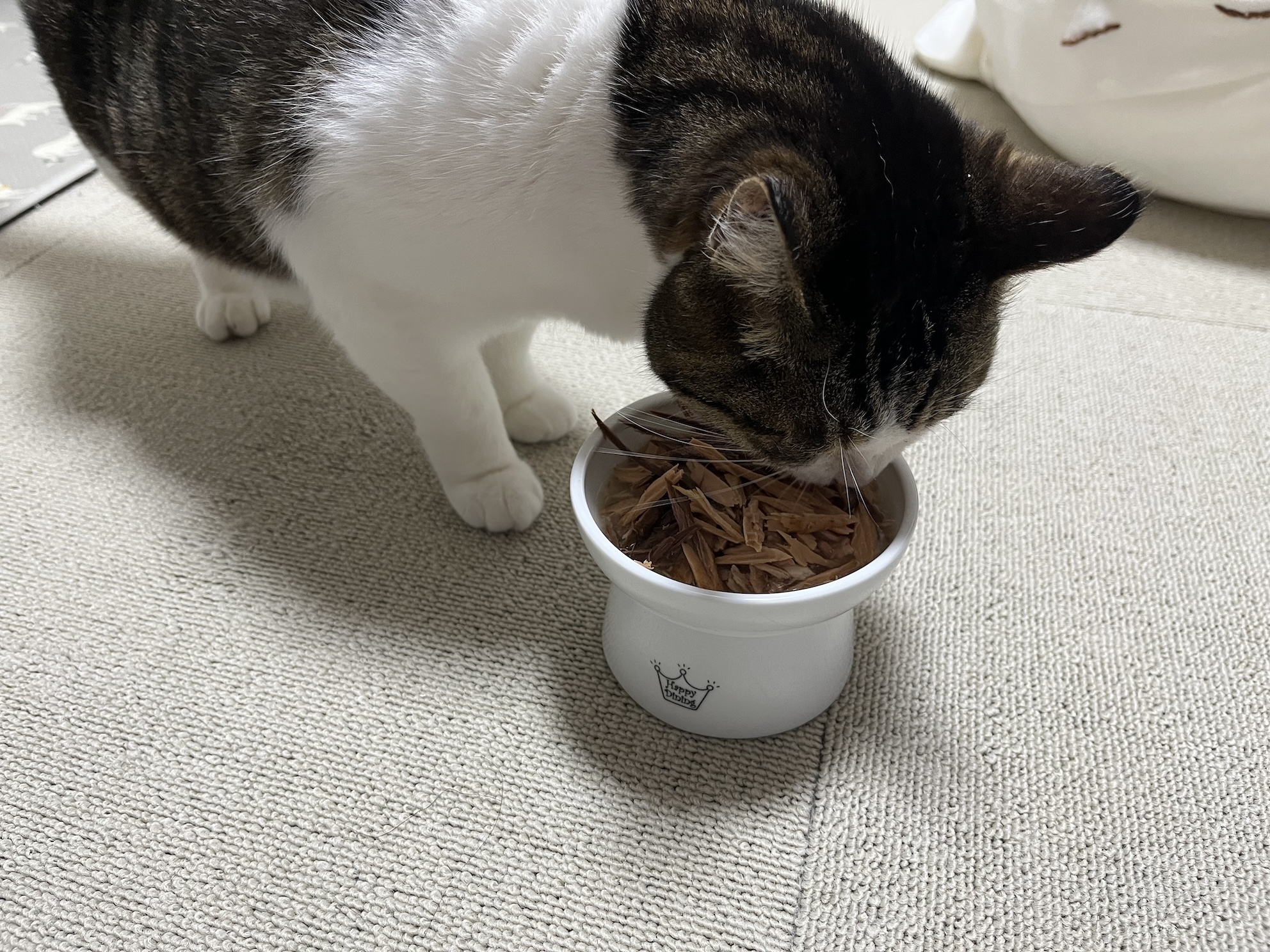 ドカ食い