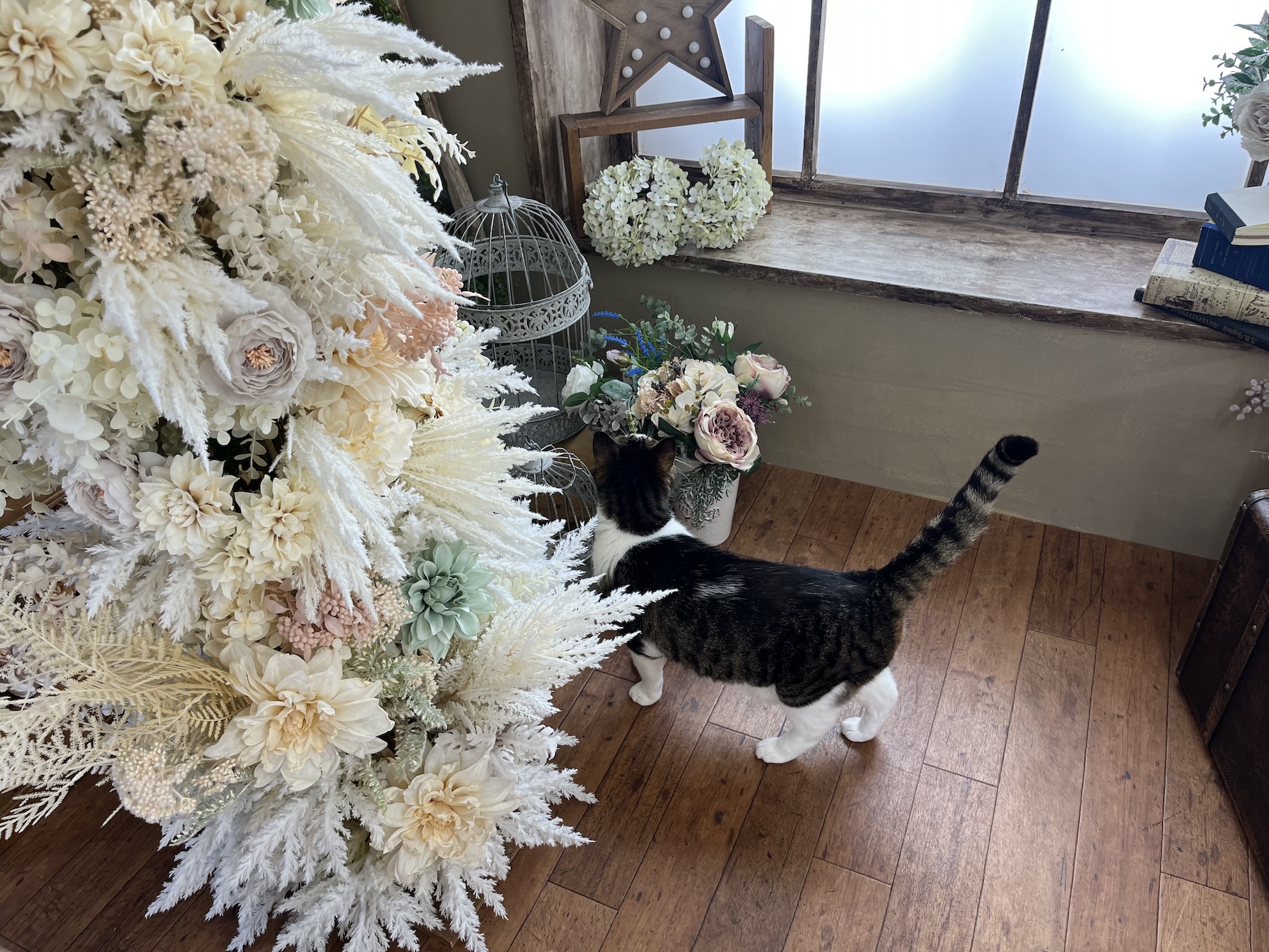 探検が忙しい