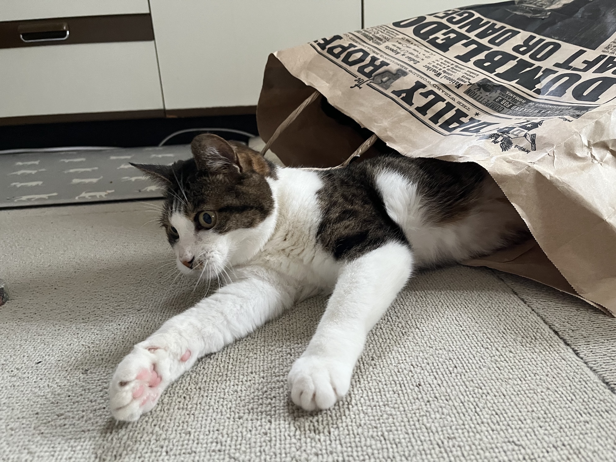 出たり入ったり