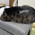 6月のそとちゃん