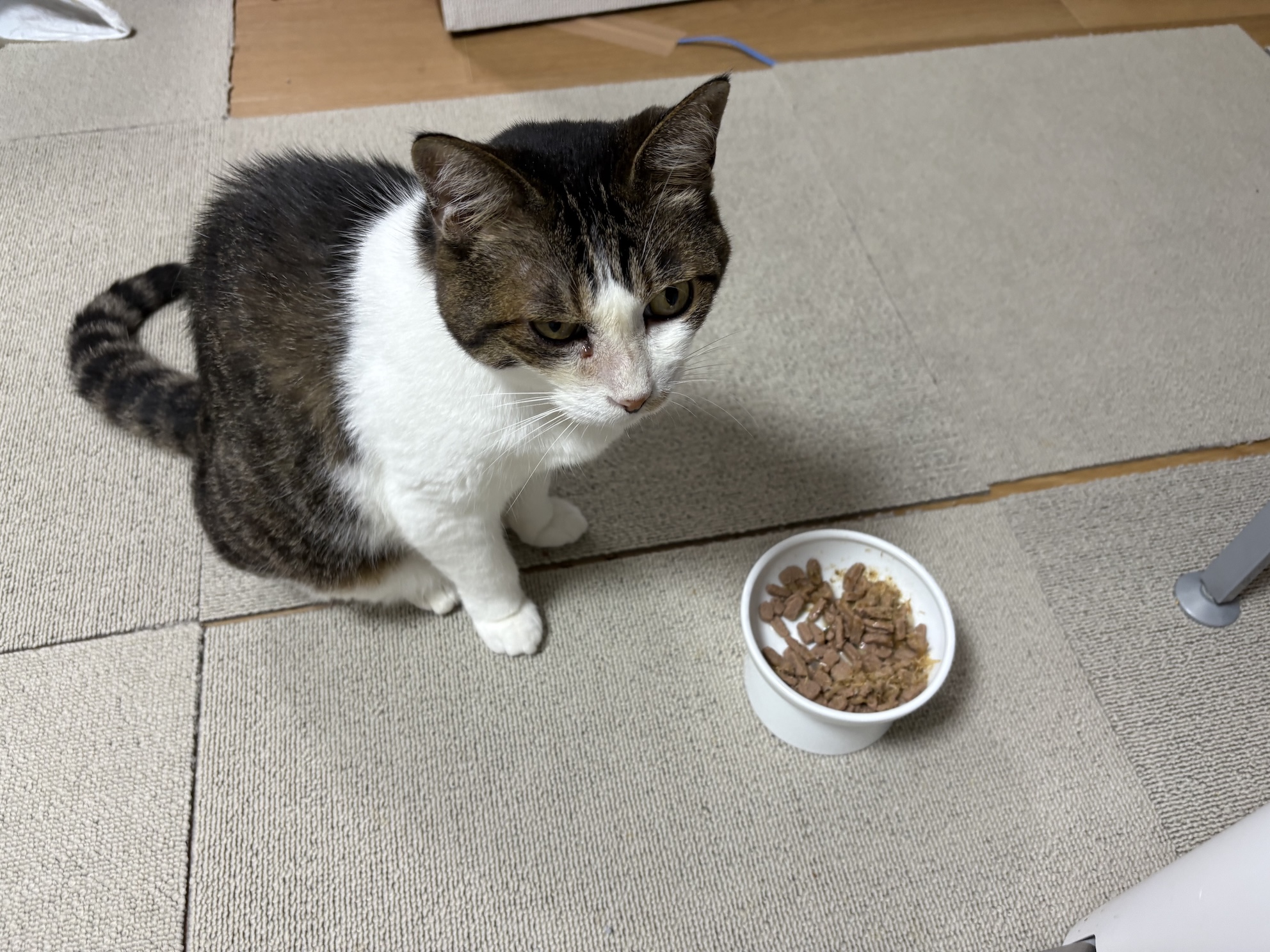 これいらないの顔