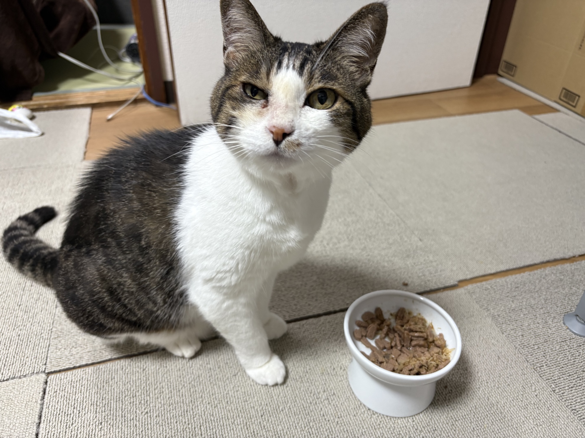 ふりかけかけての顔
