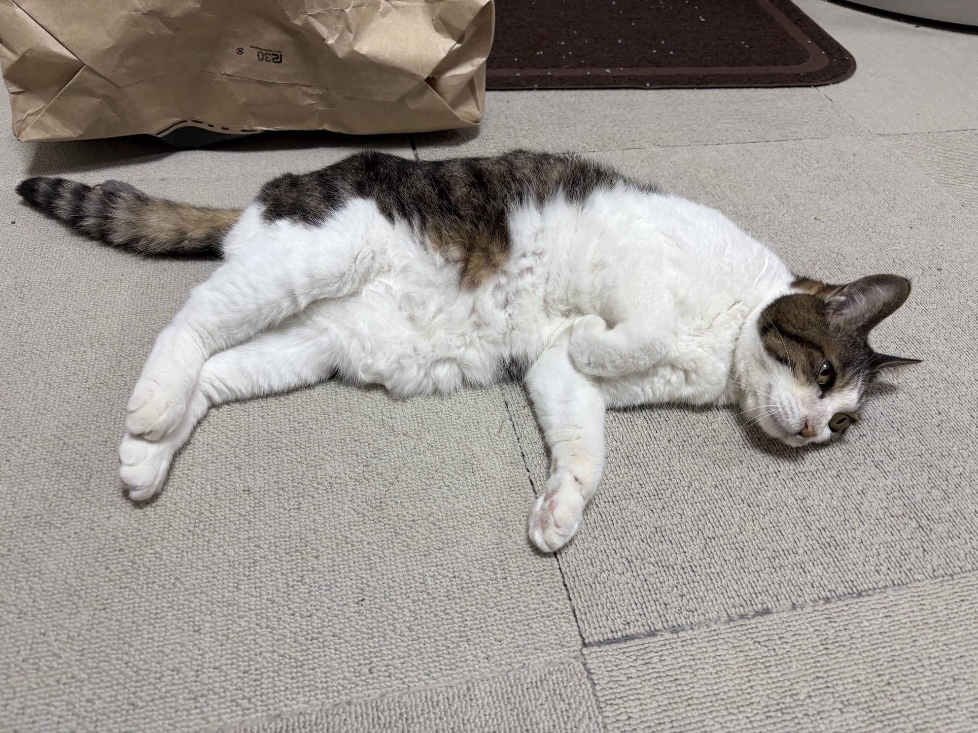 おちてる