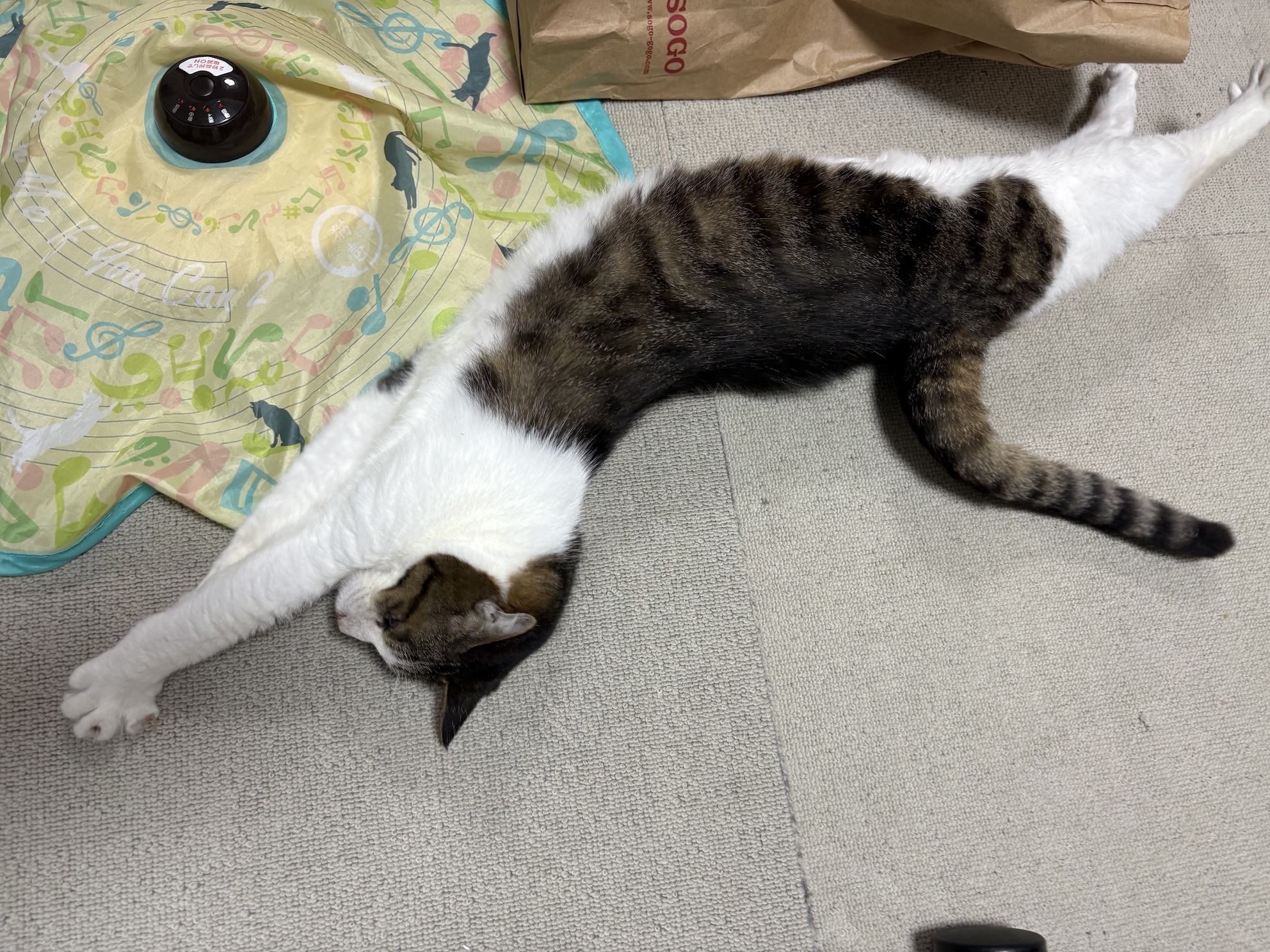 おちながらのびてる