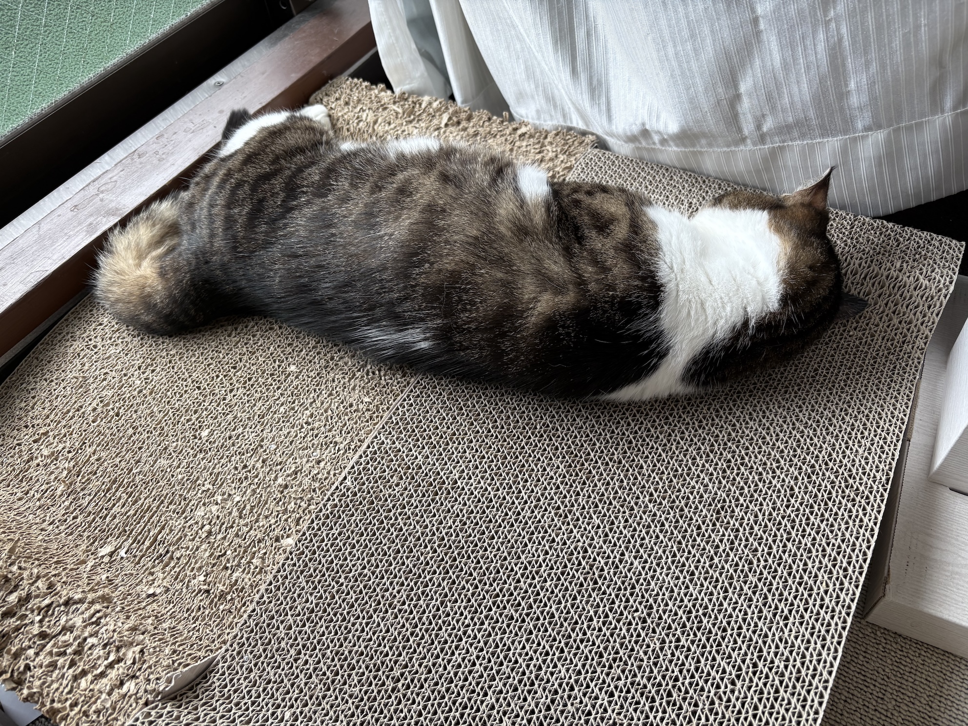 はじっこ以外も結構使ってたのね