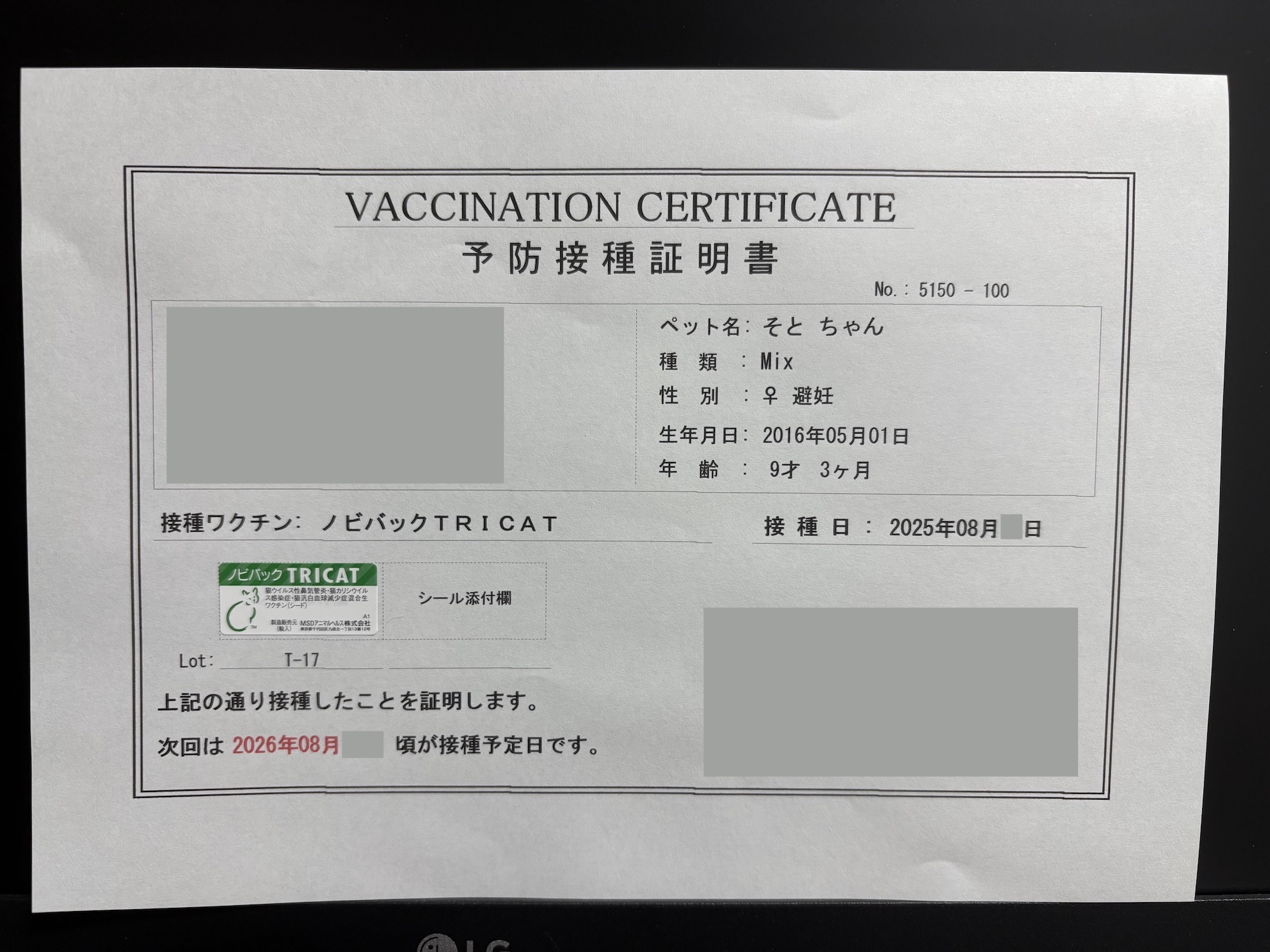 注射も全然平気 たすかるなあ