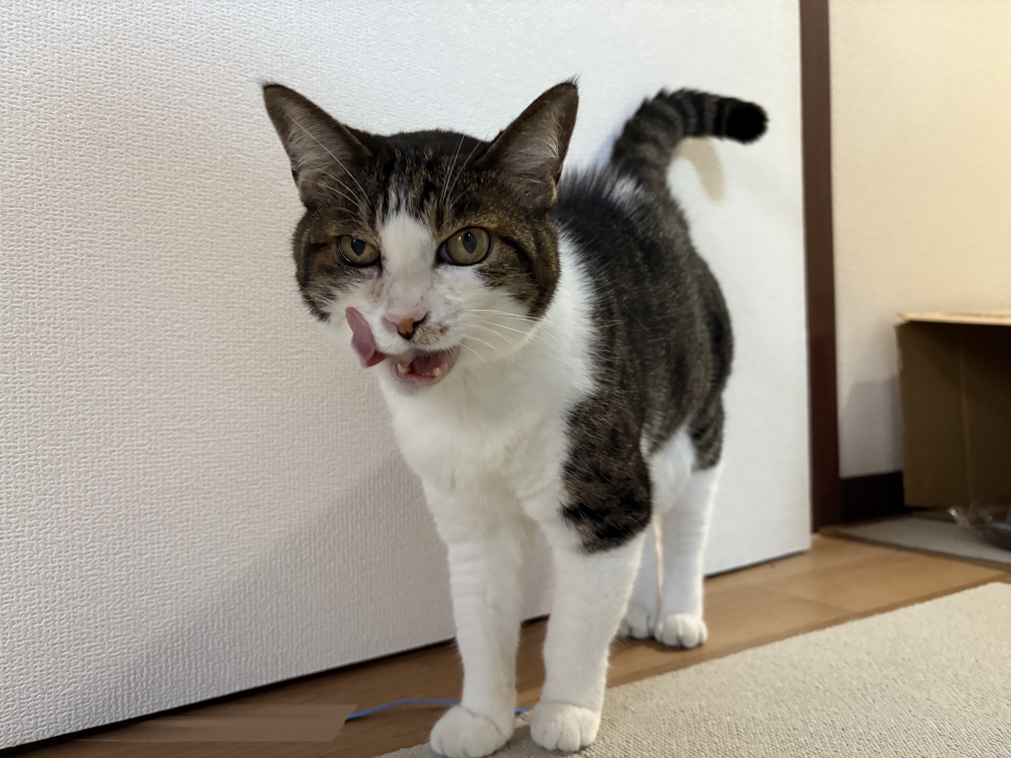 ごちそうさまの顔