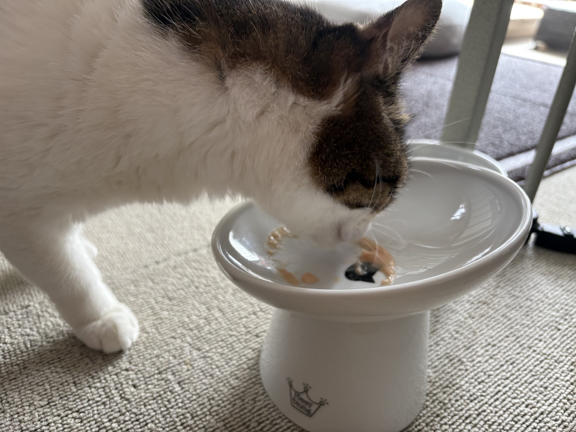 ちゃんと食べてえらい