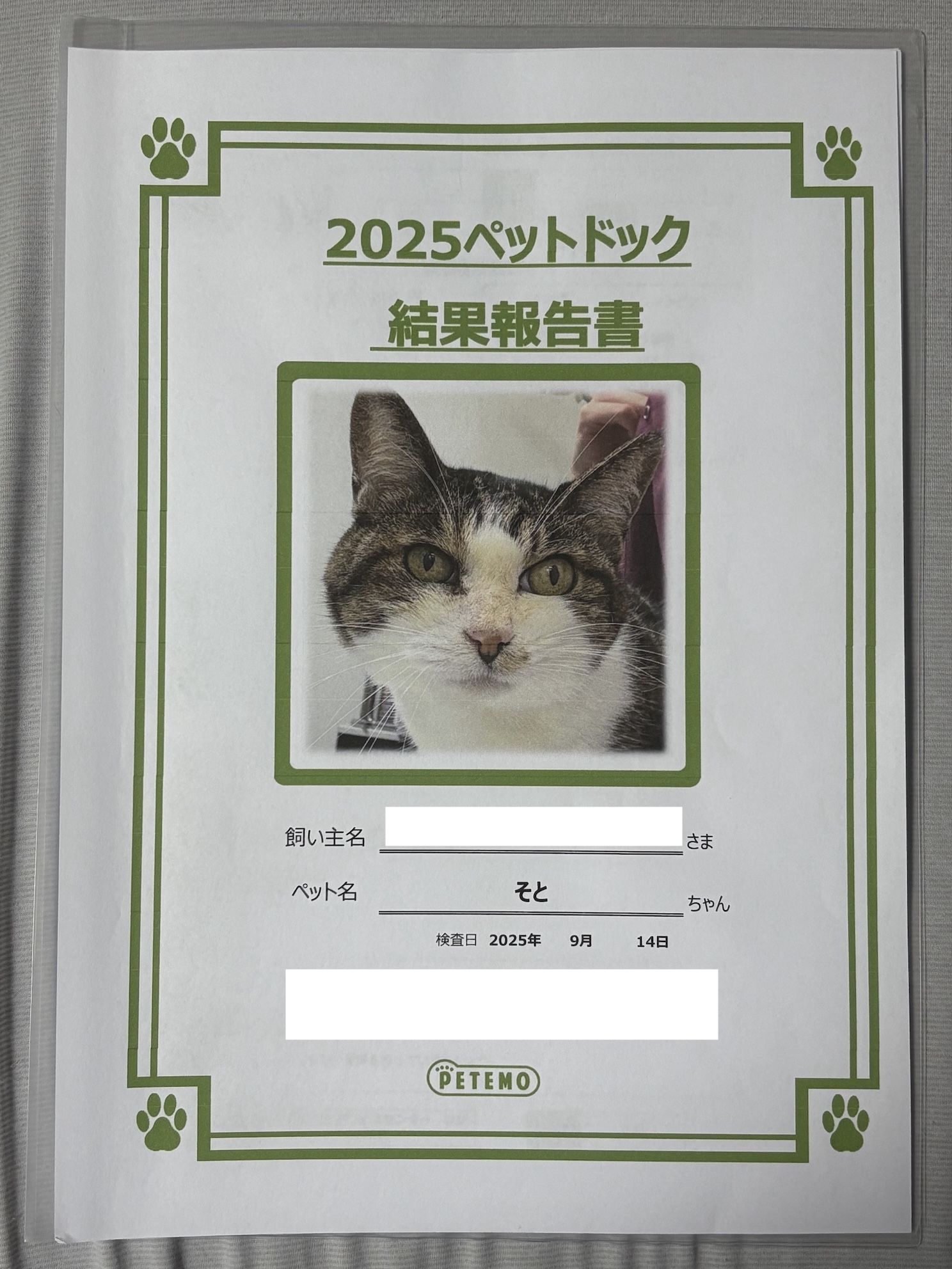 前回に比べると映りが良い