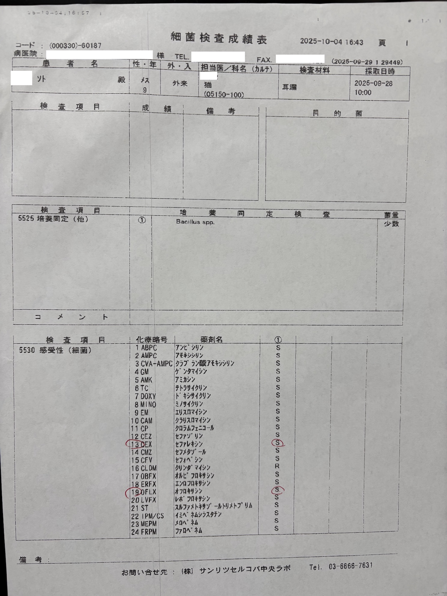 各行がお薬の種類とそれに対する細菌の反応(Sが効果あり) 13がリレキシ、19がビクタス