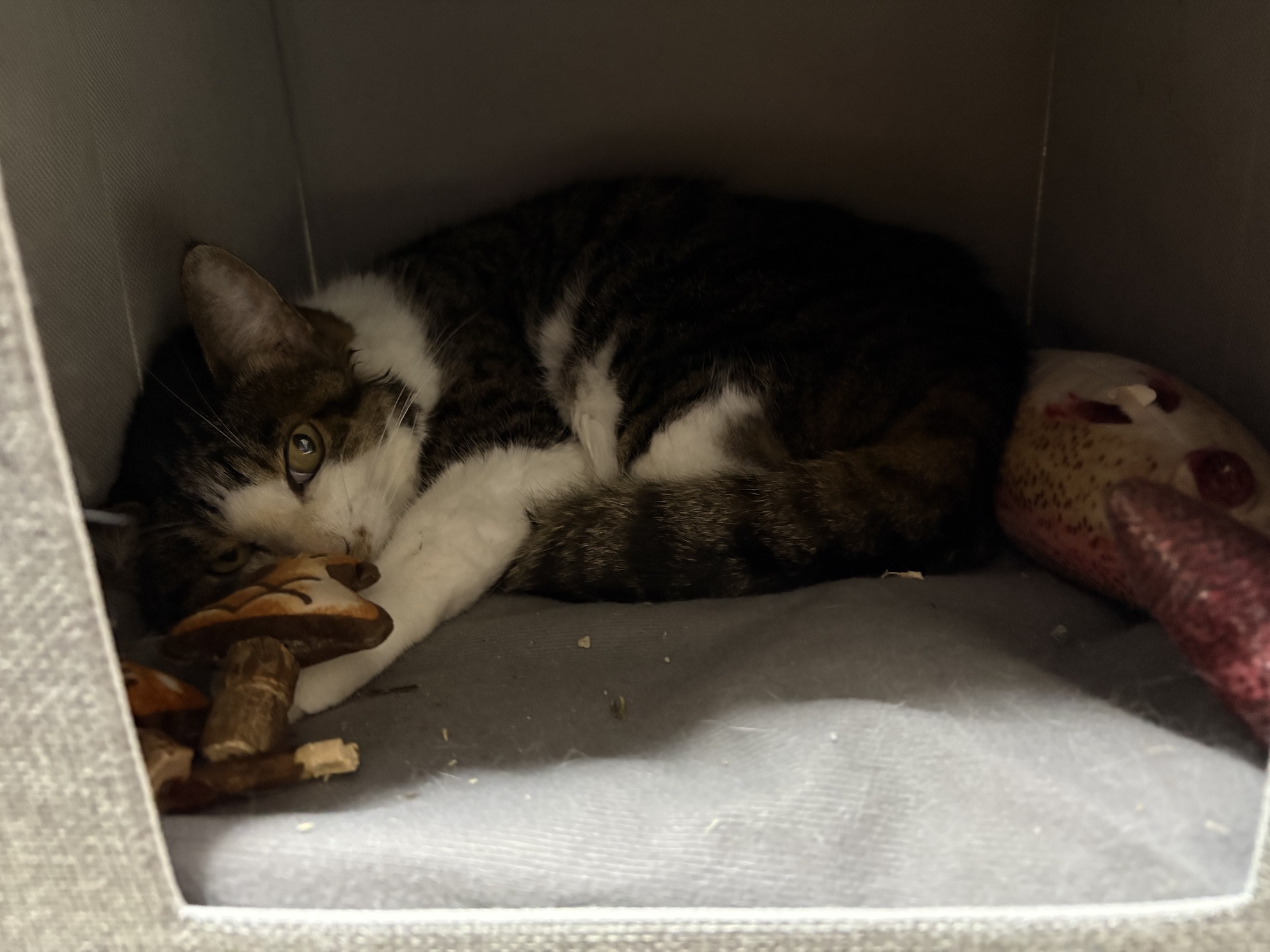 たくさん検査してつかれた