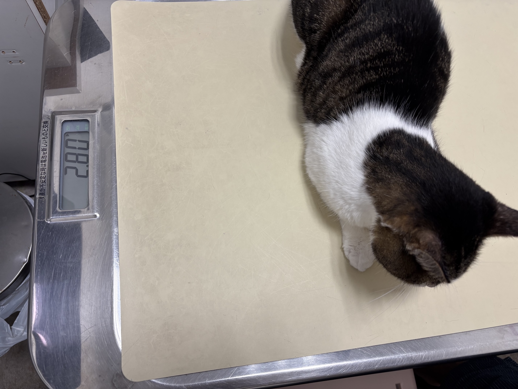 どんどん体重が落ちていく