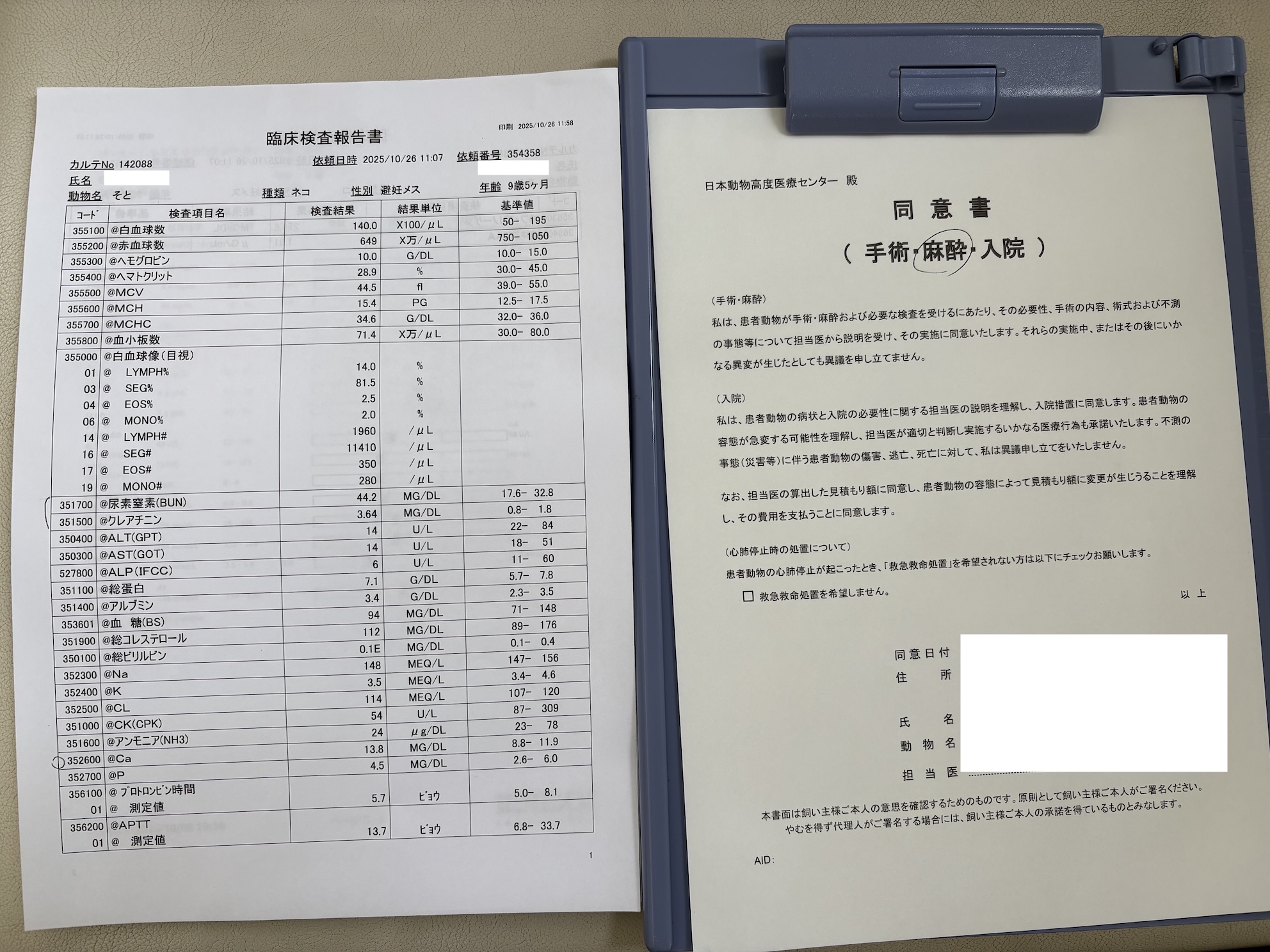 全身麻酔のたびにサインしてきたが、今回は重い