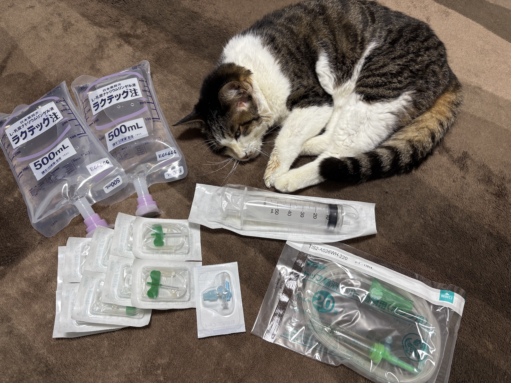 点滴セット 点滴はめっちゃとくい