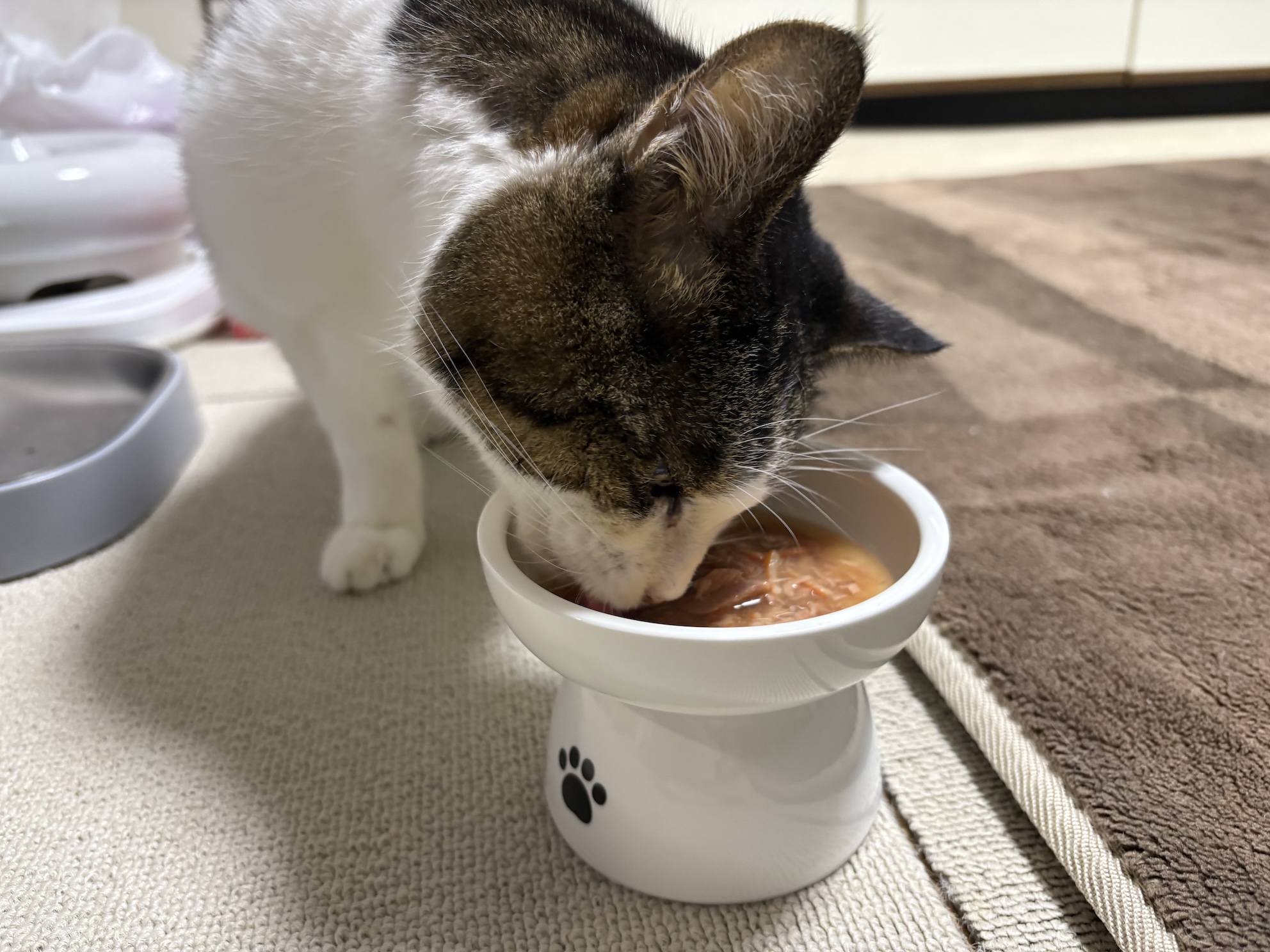 ジュレのおやつも食べ放題