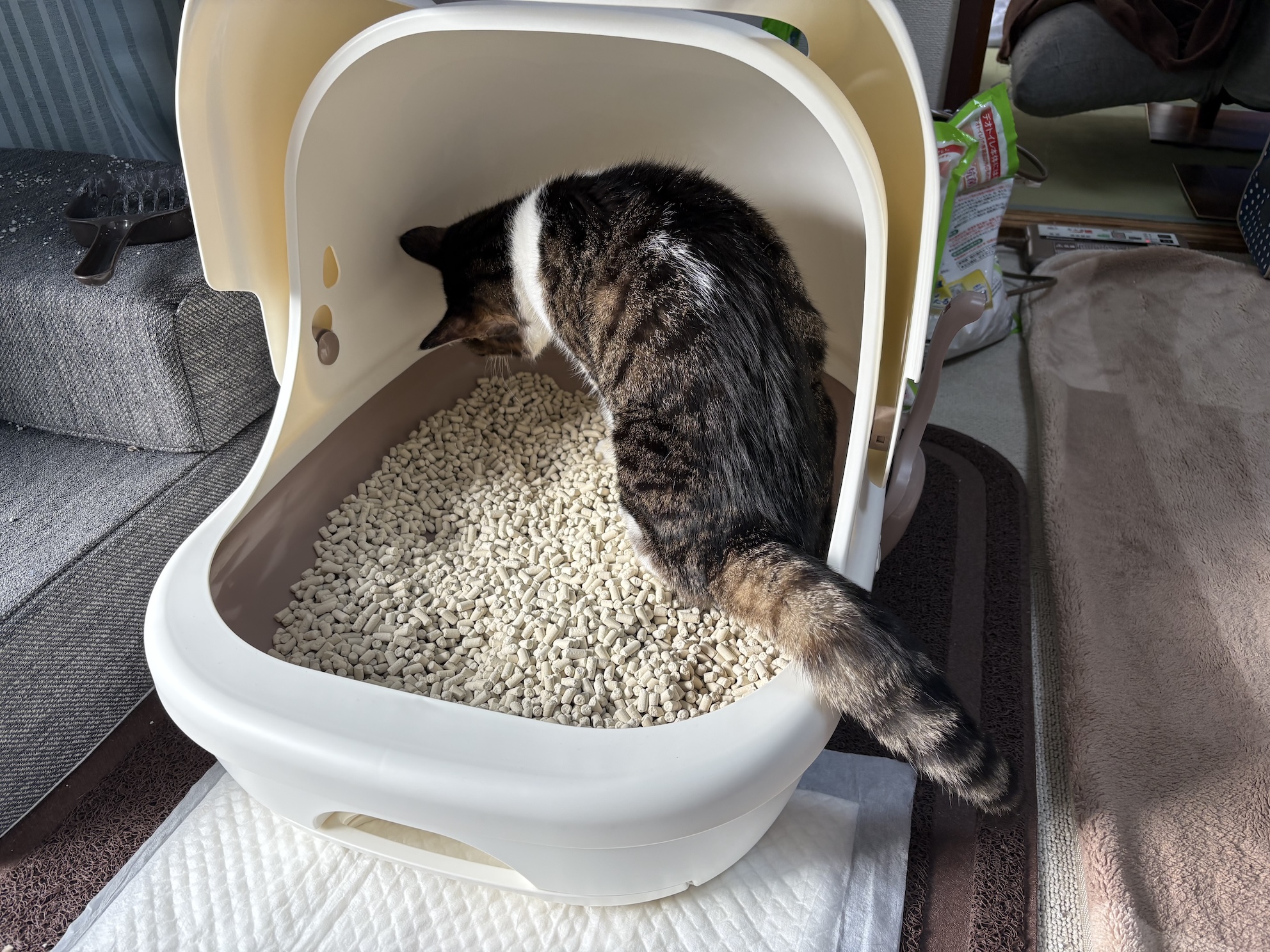 今までの高機能トイレからシンプルに入口が広くて入りやすいシンプルなものに