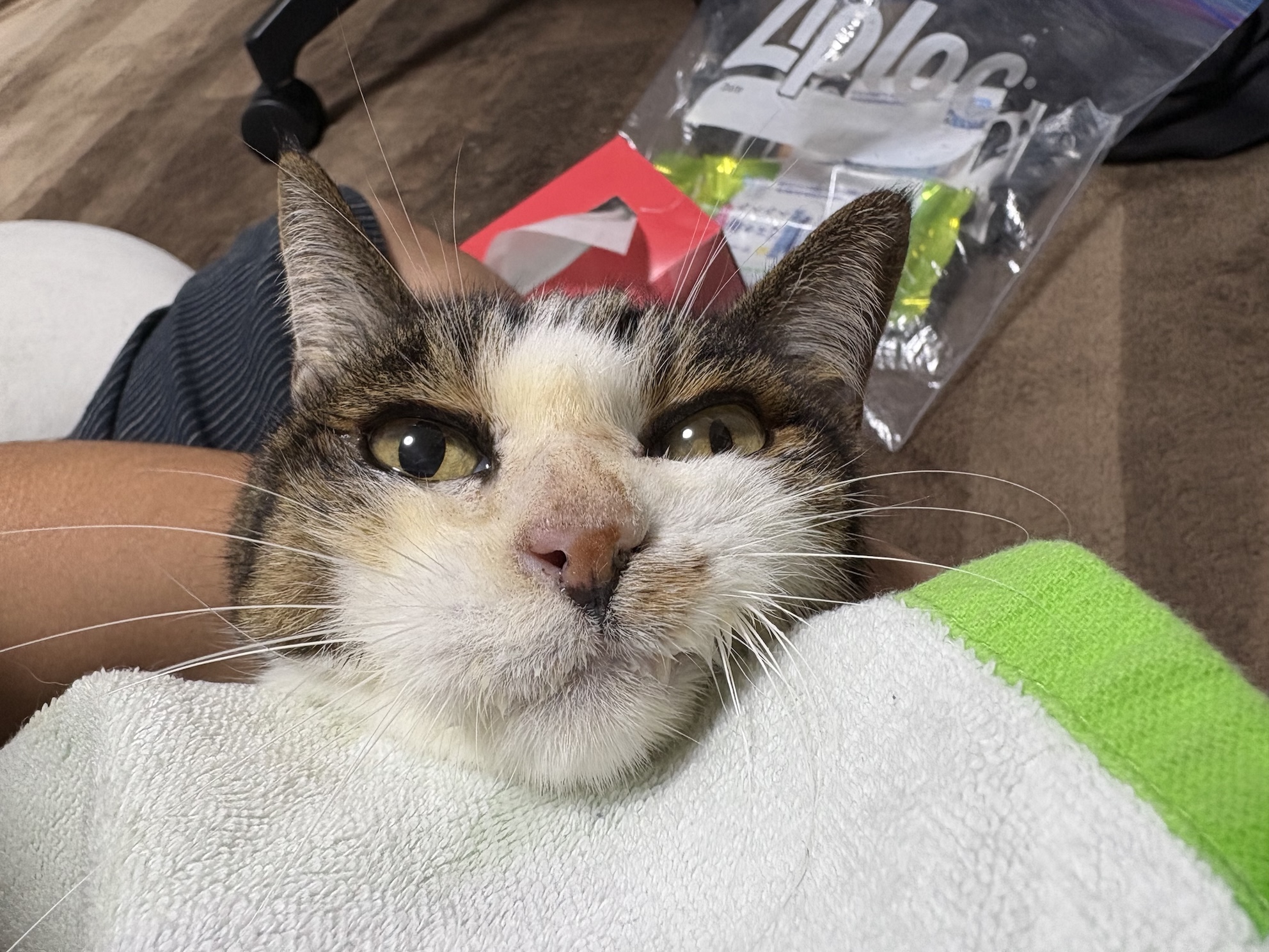 嫌すぎて瞳孔開いてる