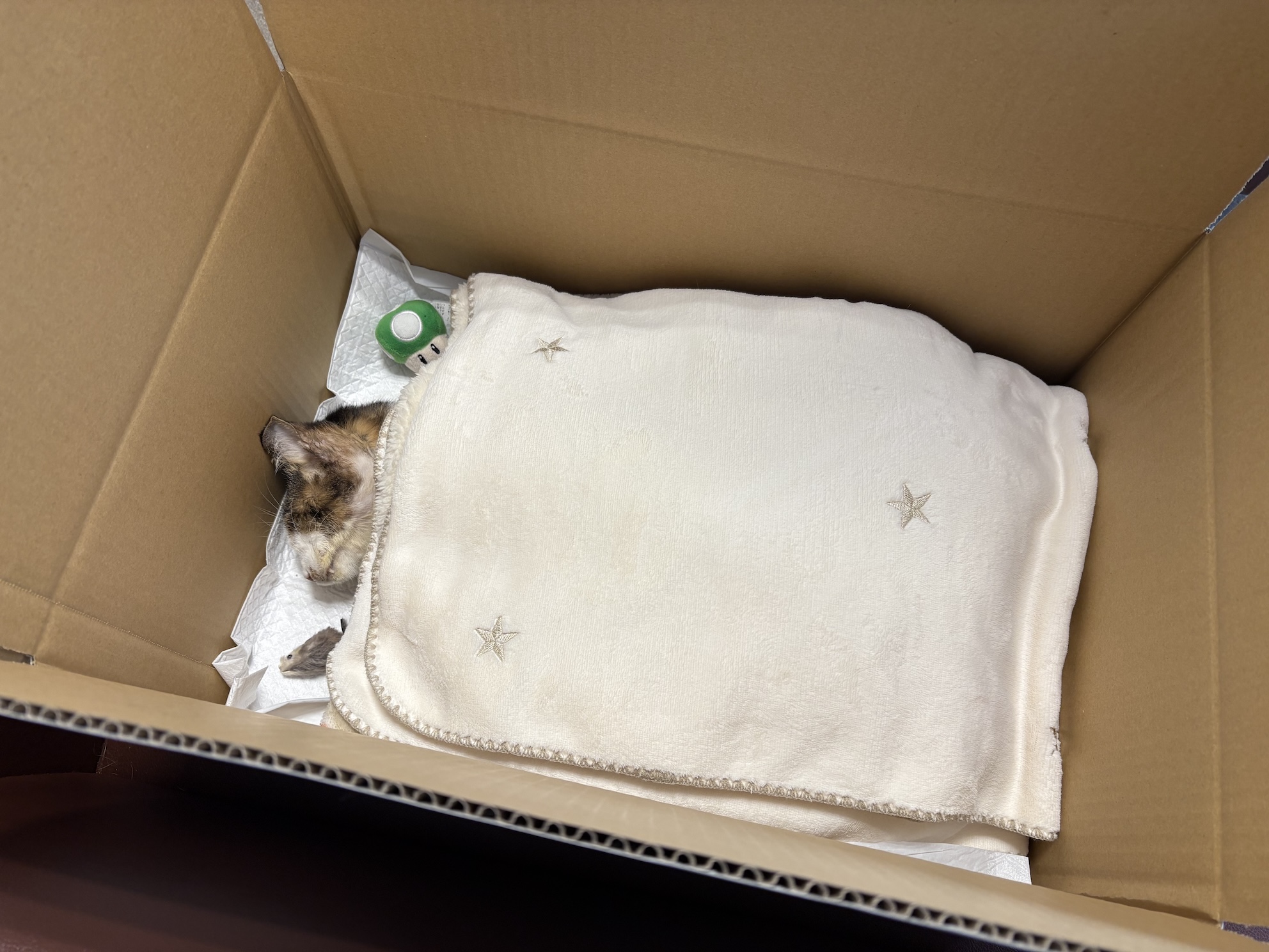 病院できれいにしてもらった