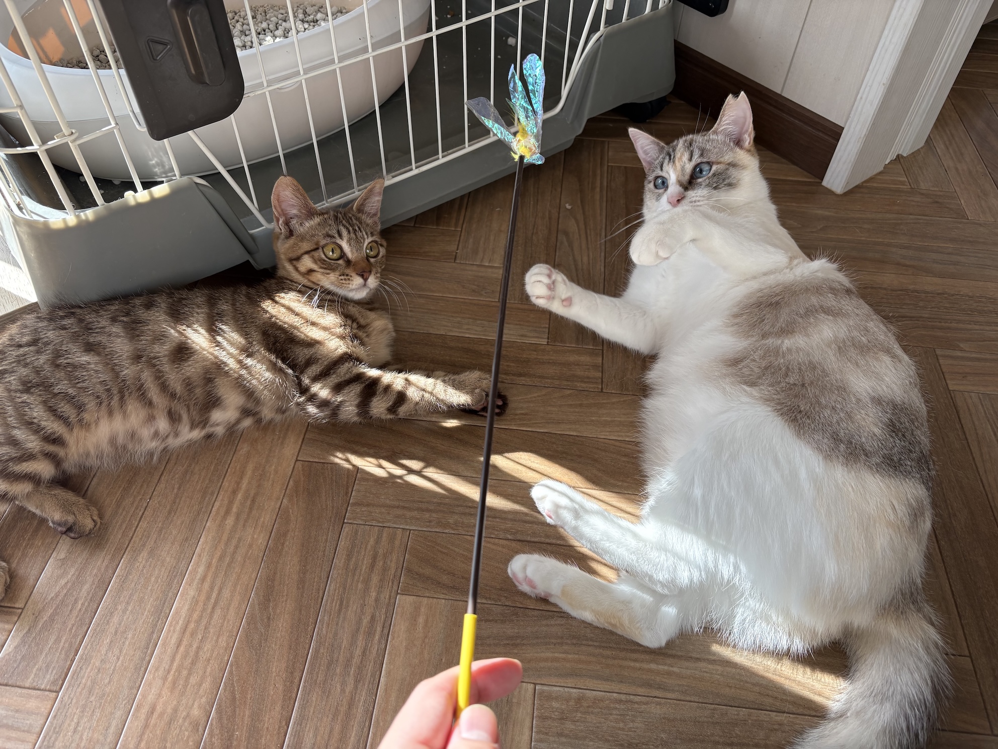 後輩たちにも素敵な出会いがあるといいな